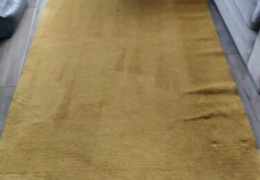Improve Your Quality Of Life With A Deep Carpet Cleaning