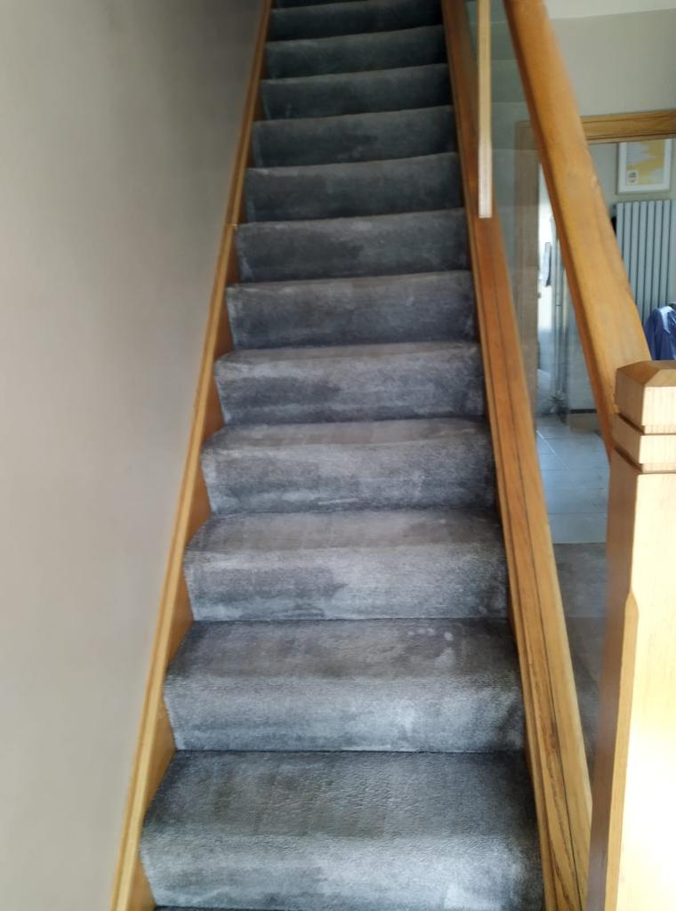 When The Dirty Carpet Wreaks Havoc