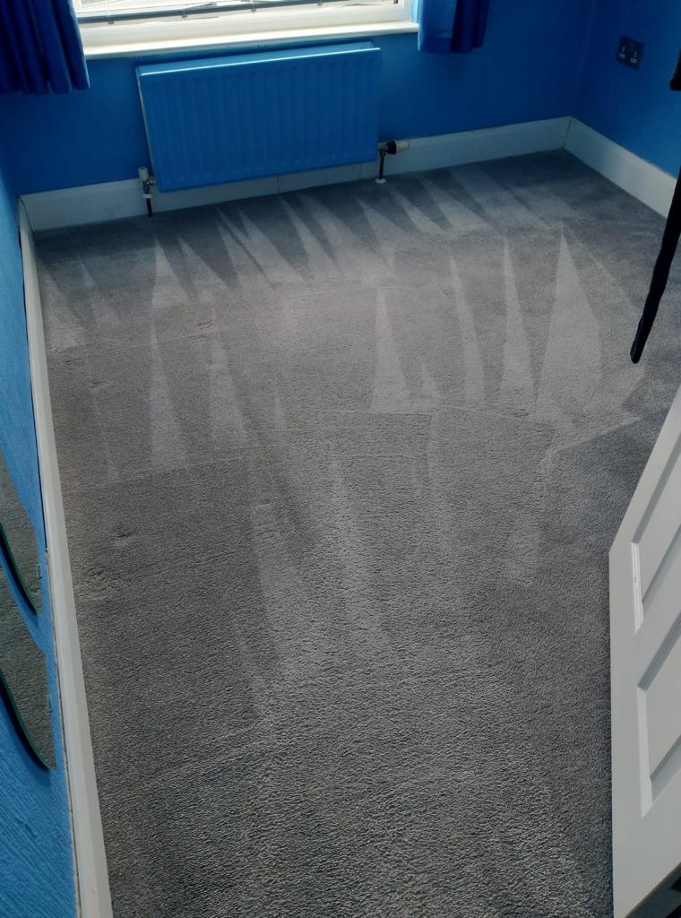 Carpet Care For Households With Pets