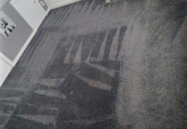 Keeping Your Carpet In Service For Longer