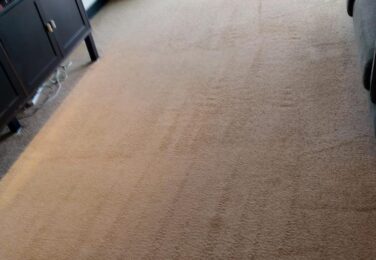 The Grime Underfoot | A Tale Of Your Carpet’s Secrets