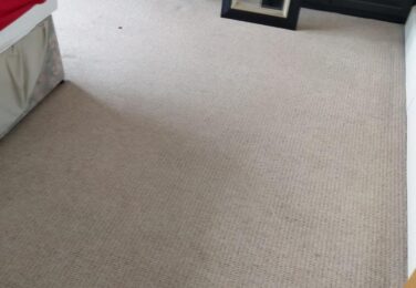 Is Your Carpet Reeking Of Pet Odours?