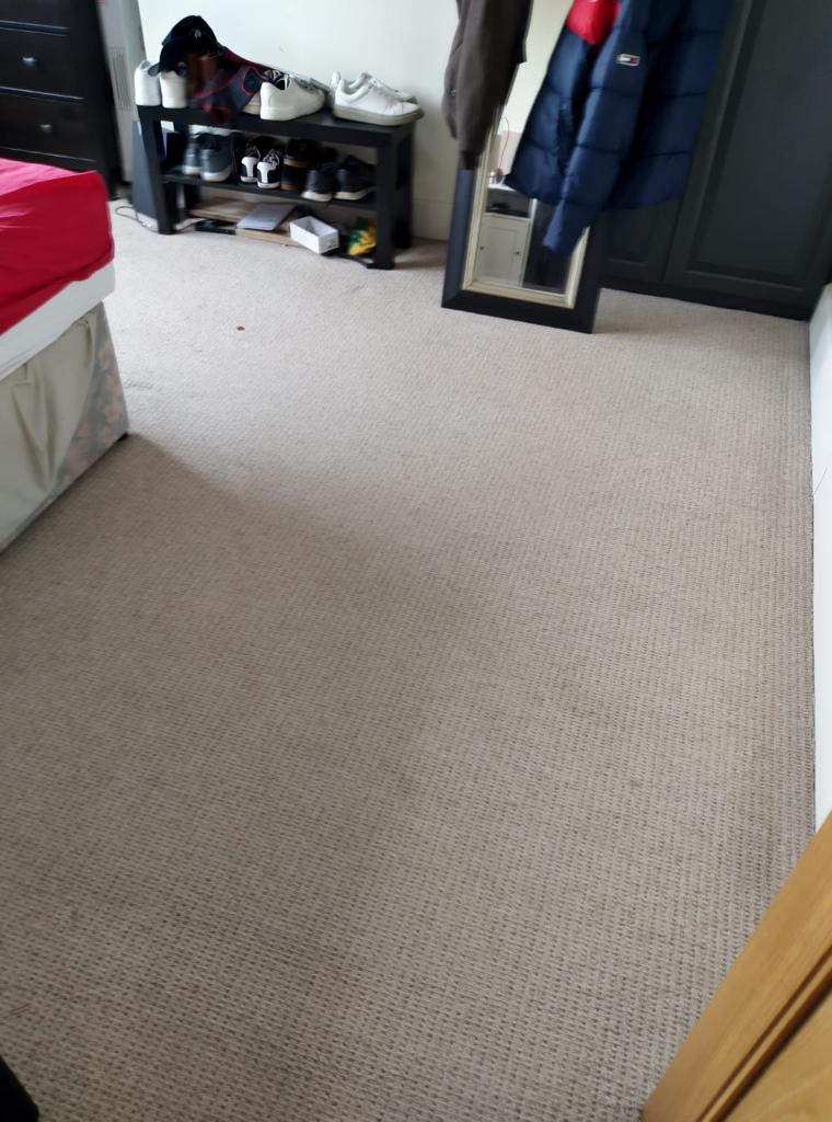 Is Your Carpet Reeking Of Pet Odours?