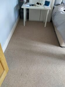Carpet Cleaning Stillorgan