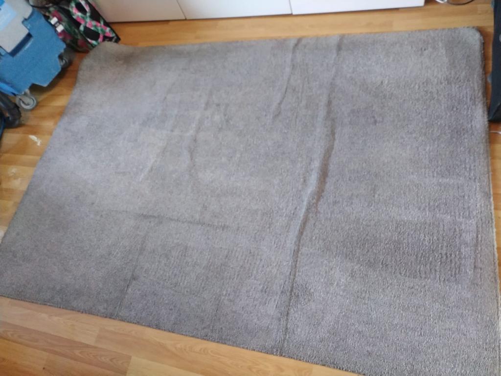 Your Guide To Maintaining Commercial Carpets In Between Professional Cleaning Sessions