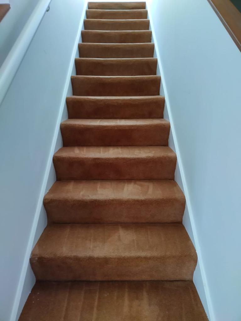 Giving Your Carpet A Longer Life With Professional Carpet Cleaning
