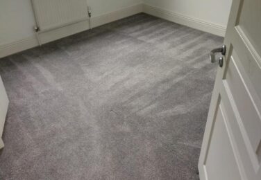 Maintaining The Carpet After A Professional Carpet Cleaning