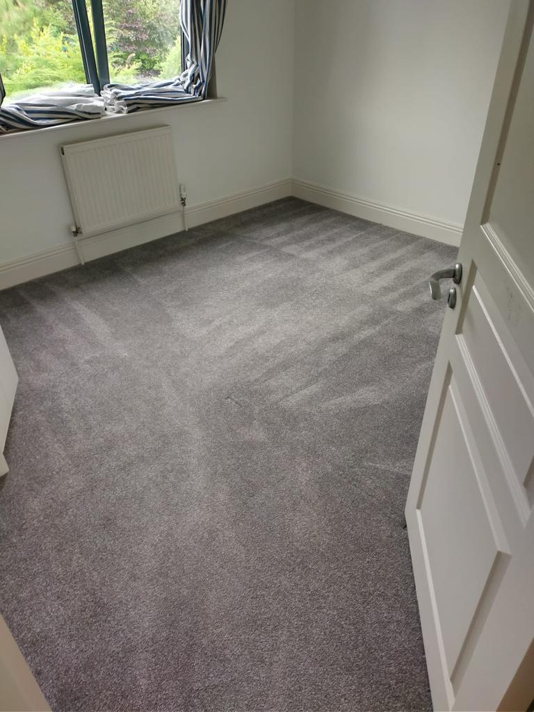 Maintaining The Carpet After A Professional Carpet Cleaning