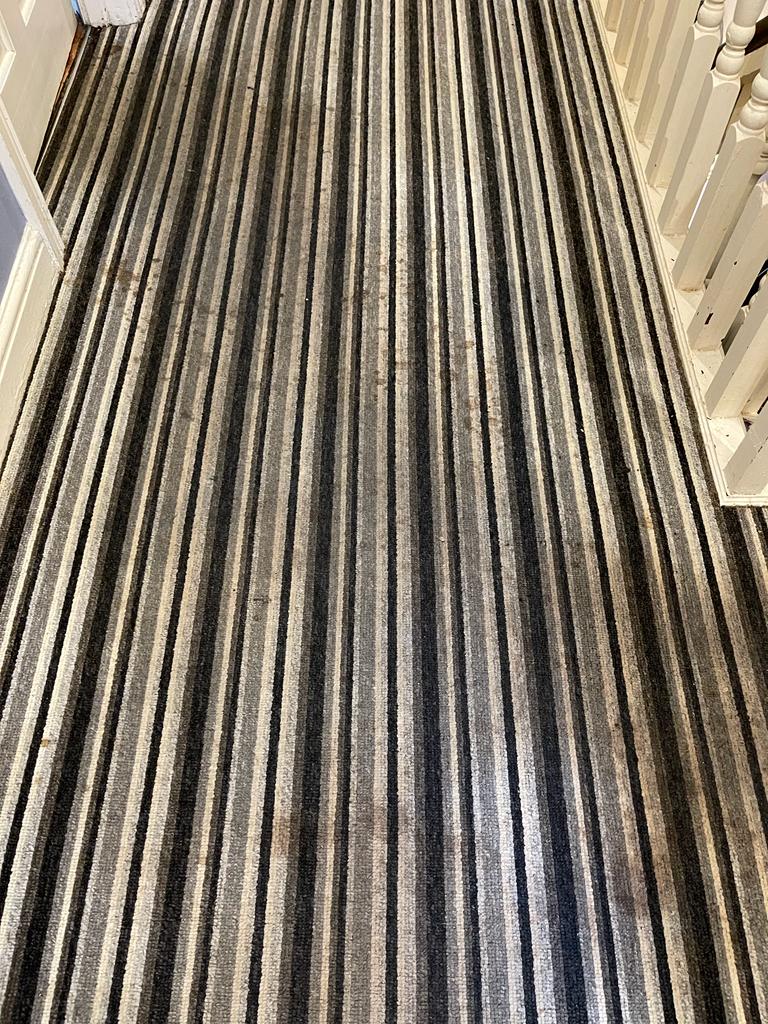 Can You Save Money With Carpet Cleaning Services?