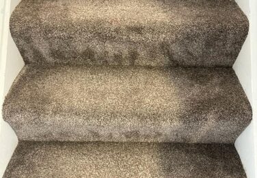 Your Carpet Deserves Specialist Care