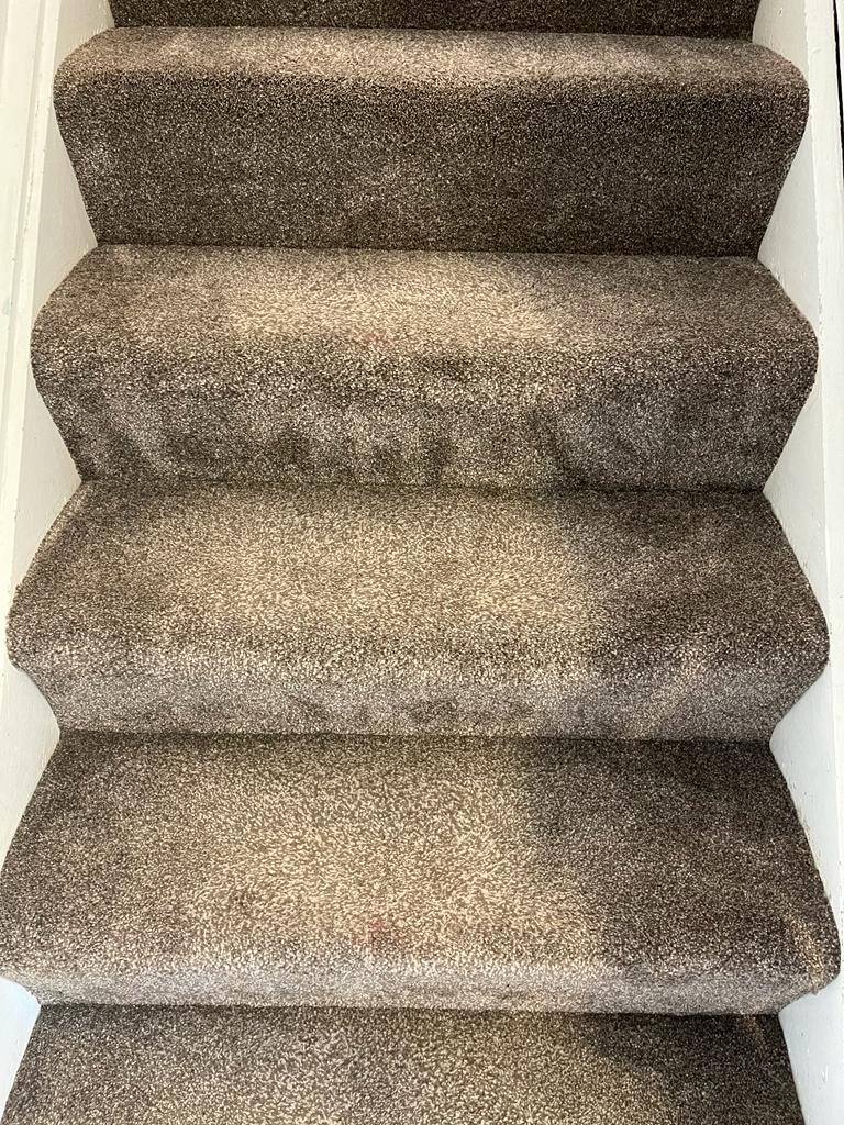 Your Carpet Deserves Specialist Care