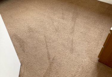 Hiring Carpet Cleaners Can Be Beneficial In Multiple Ways