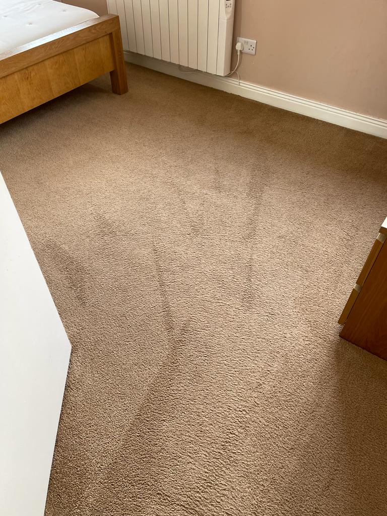 Hiring Carpet Cleaners Can Be Beneficial In Multiple Ways