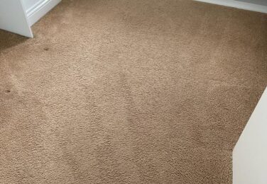 Adding More Years To Your Office Carpet