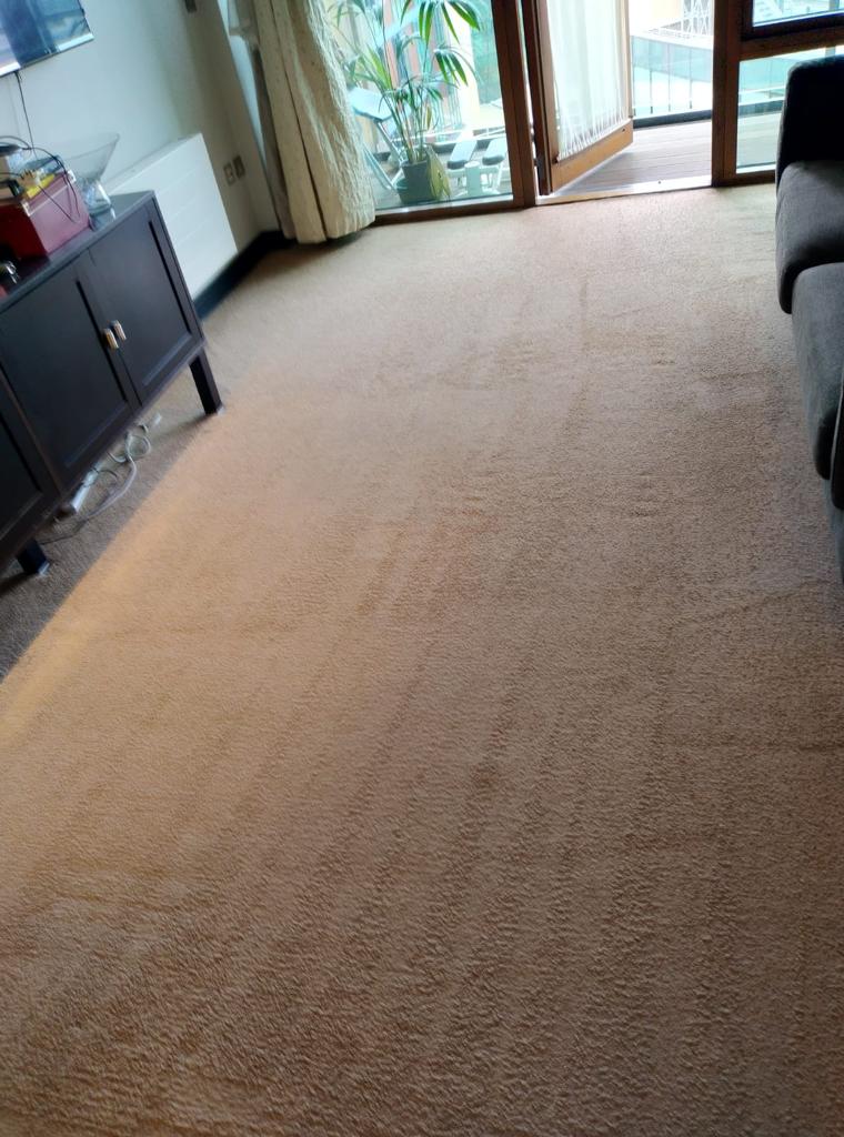 Dry Carpet Cleaning V Hot Water Extraction