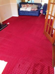 Carpet Cleaning Terenure