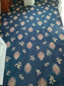 Carpet Cleaning Templeogue