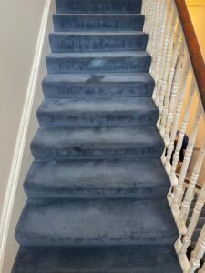 Carpet Cleaning Carrickmines