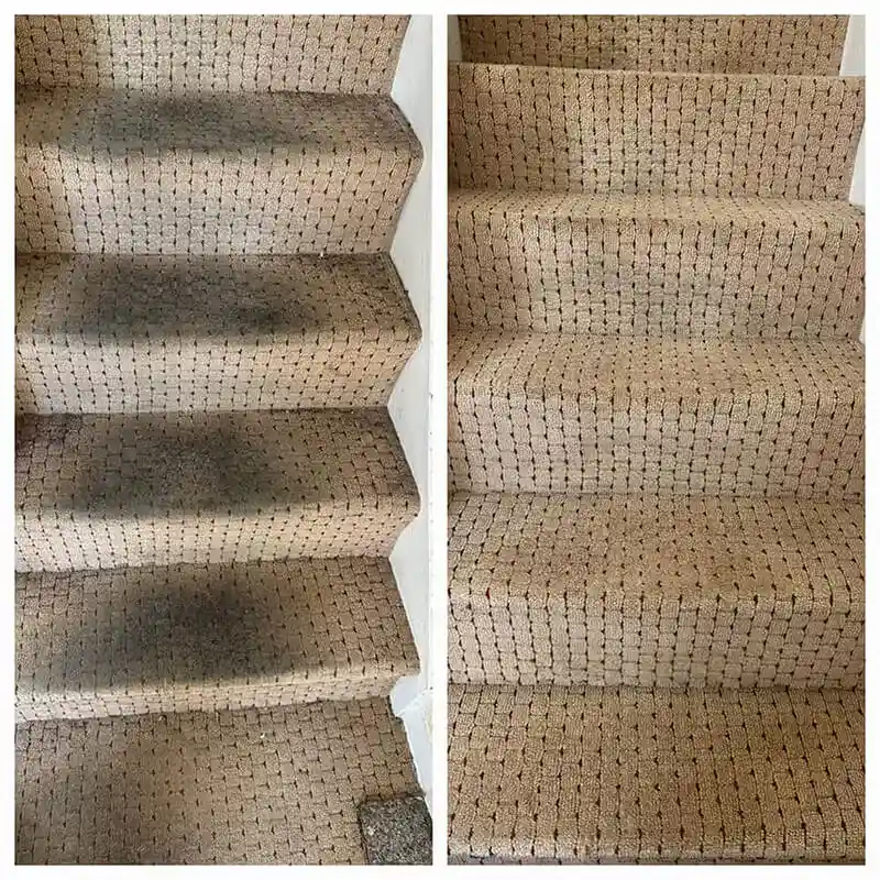 dublin carpet cleaning