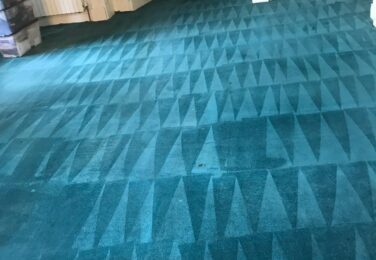 Carpet Cleaning And Odour Neutralisers