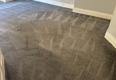 How To Remove Urine Stains From Carpets