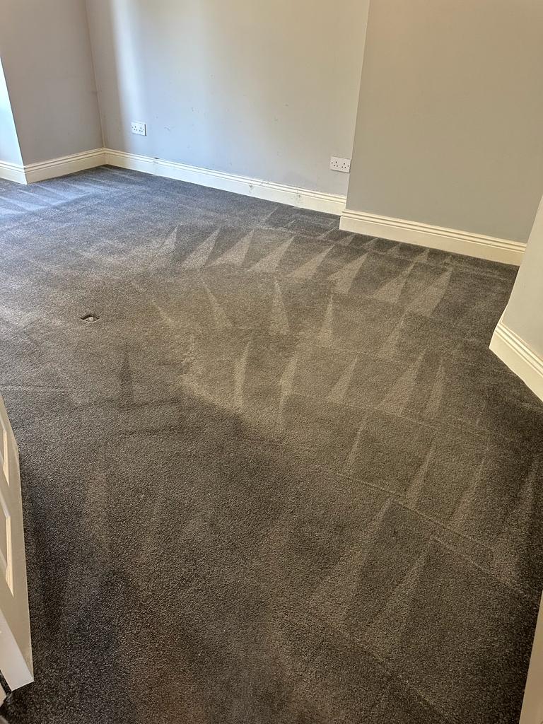 How To Remove Urine Stains From Carpets